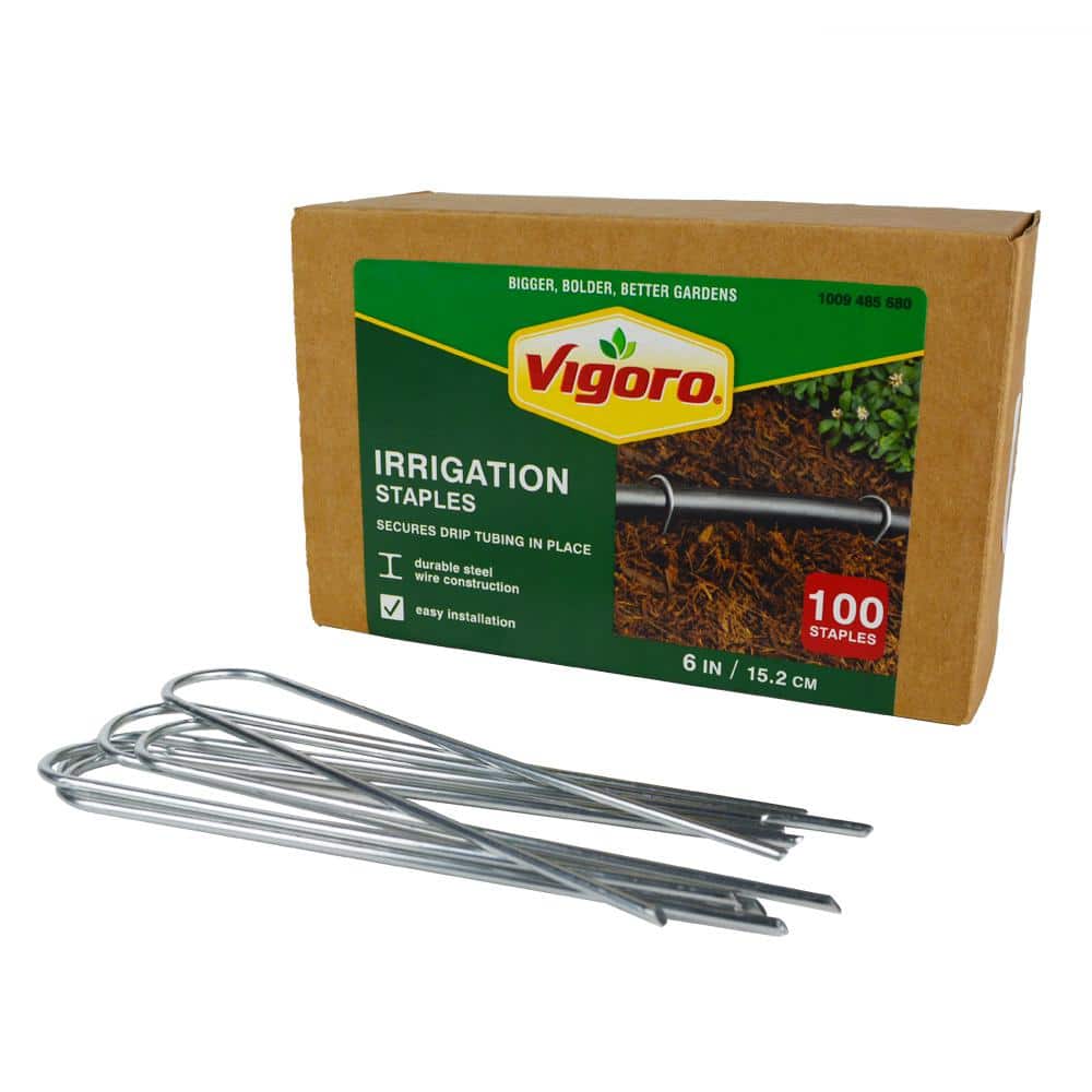 6 in. X 1 in. Galvanized Drip Irrigation Stakes (100-pack)