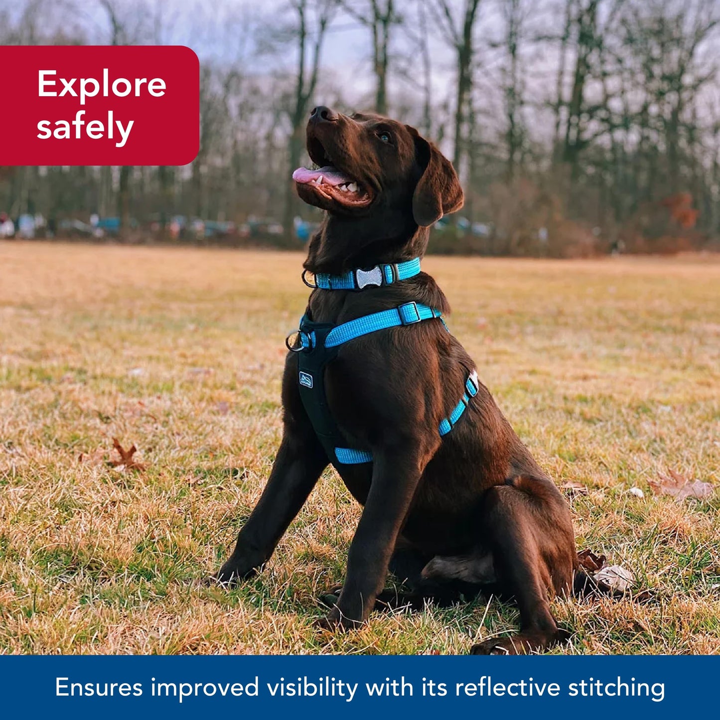 Coastal - K-9 Explorer - Brights Reflective Front-Connect Harness, Lake, 5/8" x 12"-18"