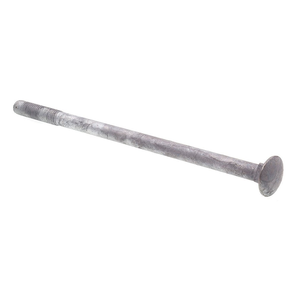 Prime-Line 9064901 Carriage Bolts, 1/2 in.-13 X 10 in., A307 Grade A Hot Dip Galvanized (10 Pack)
