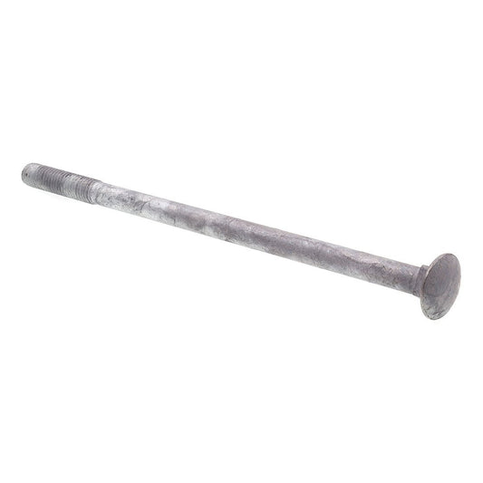 Prime-Line 9064901 Carriage Bolts, 1/2 in.-13 X 10 in., A307 Grade A Hot Dip Galvanized (10 Pack)