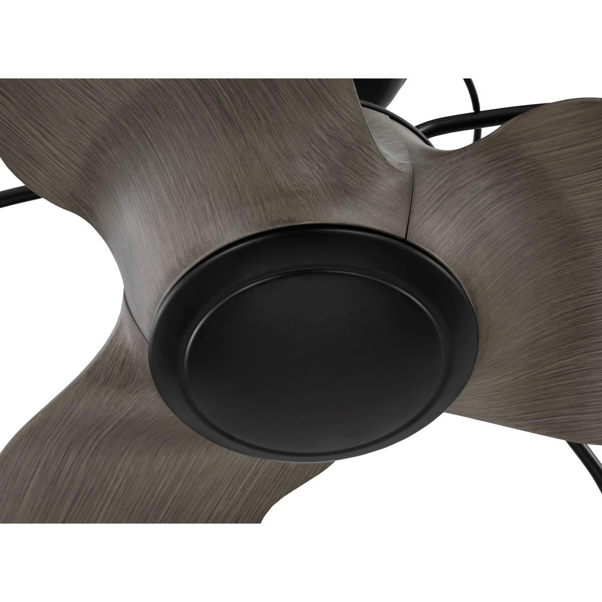 Progress Lighting P250096-31M Bastrop 26" Damp Rated Ceiling Fan, Matte Black