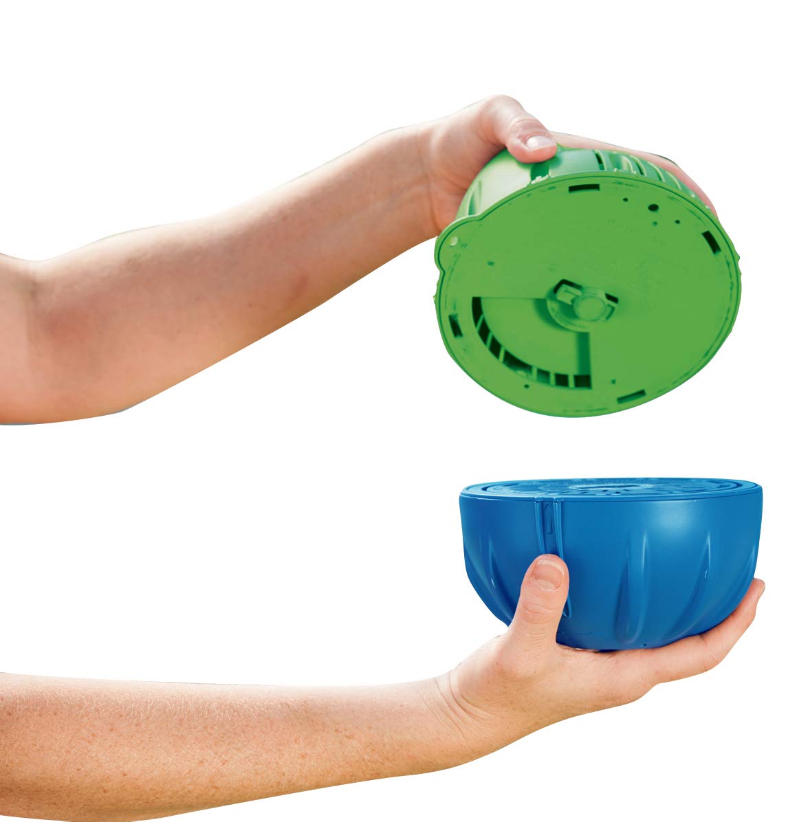 Flippin Frog
