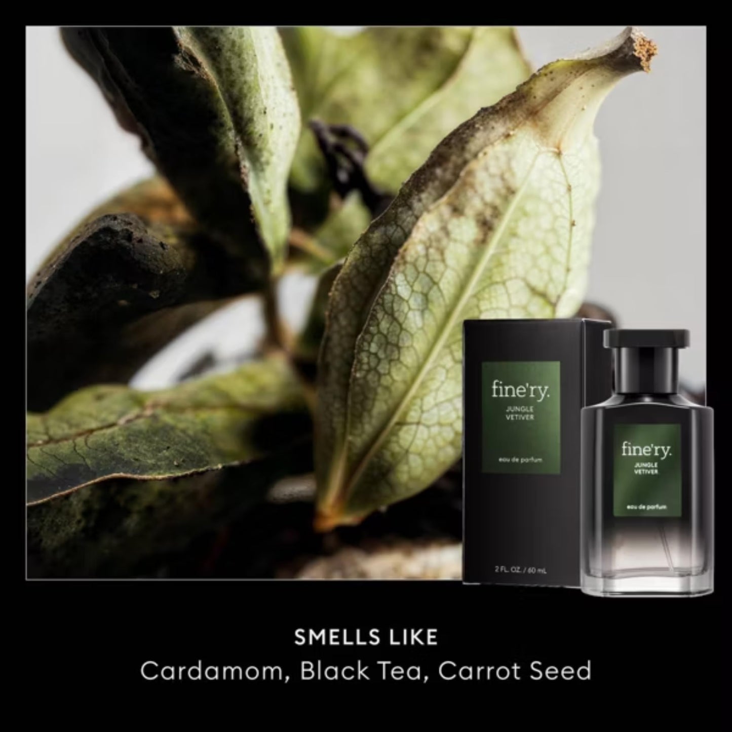 Fine'ry Perfume for Men Warm & Spicy Cologne | Jungle Vetiver - Earthy Green Musk with Cardamom, Black Tea, Carrot Seed | Full Size Hair & Body Eau De Parfum Long-Lasting, Clean, Vegan, 2 oz