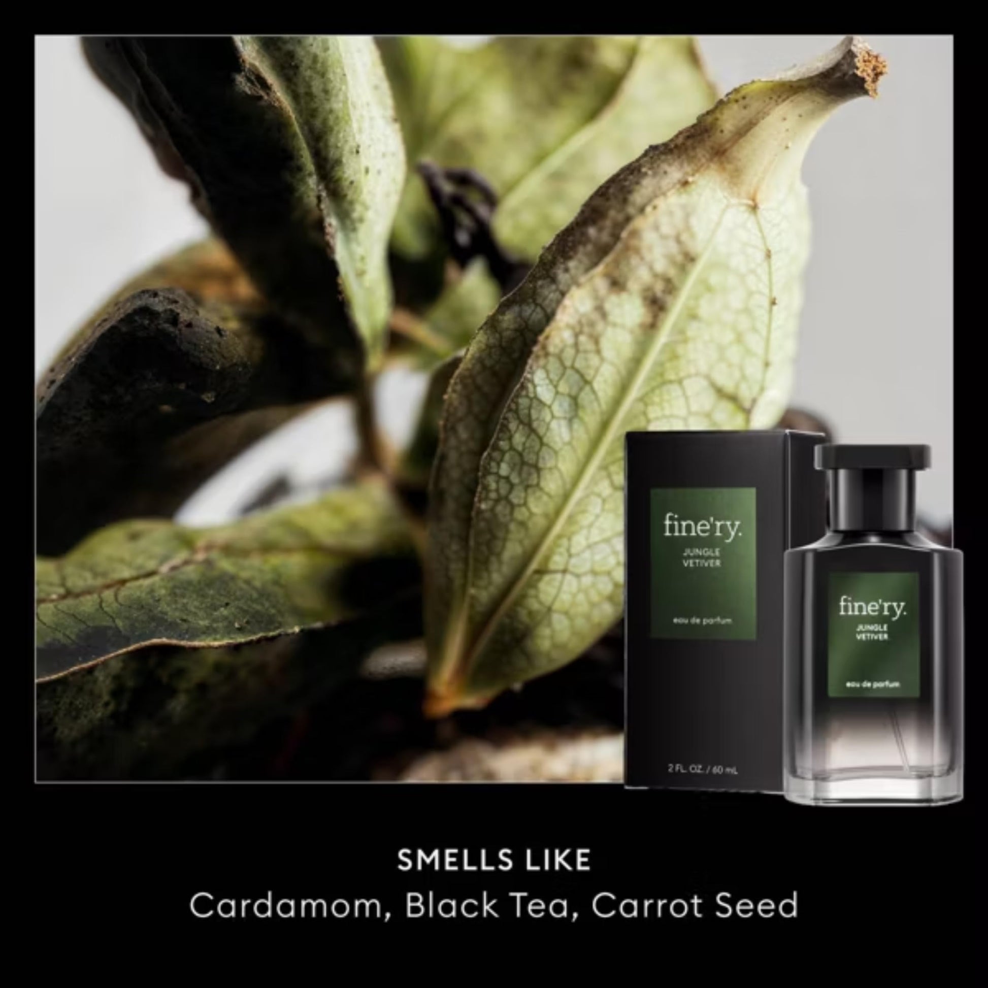 Fine'ry Perfume for Men Warm & Spicy Cologne | Jungle Vetiver - Earthy Green Musk with Cardamom, Black Tea, Carrot Seed | Full Size Hair & Body Eau De Parfum Long-Lasting, Clean, Vegan, 2 oz