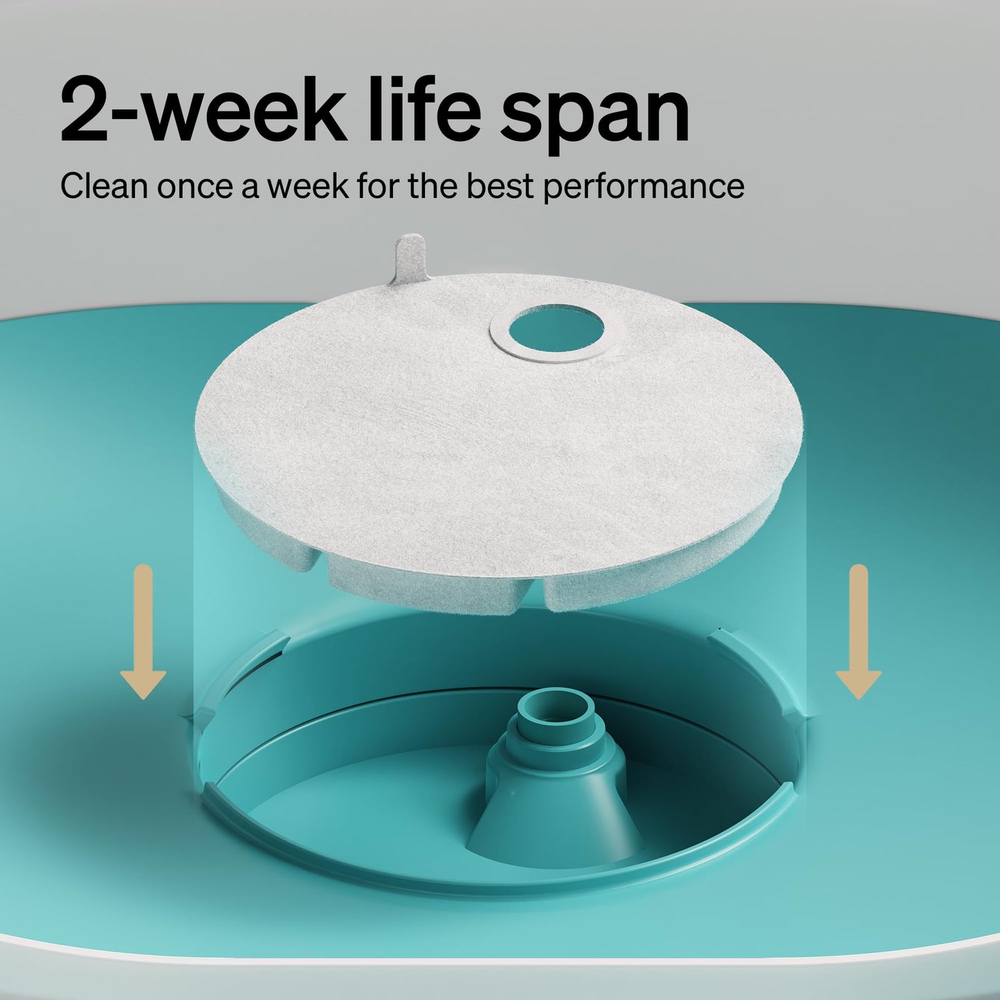 PETLIBRO Replacement Filters for Capsule Dog Fountain PLWF008, 2 Month Set of Filters for Dog Water Dispensers, 4 Count Pack, White