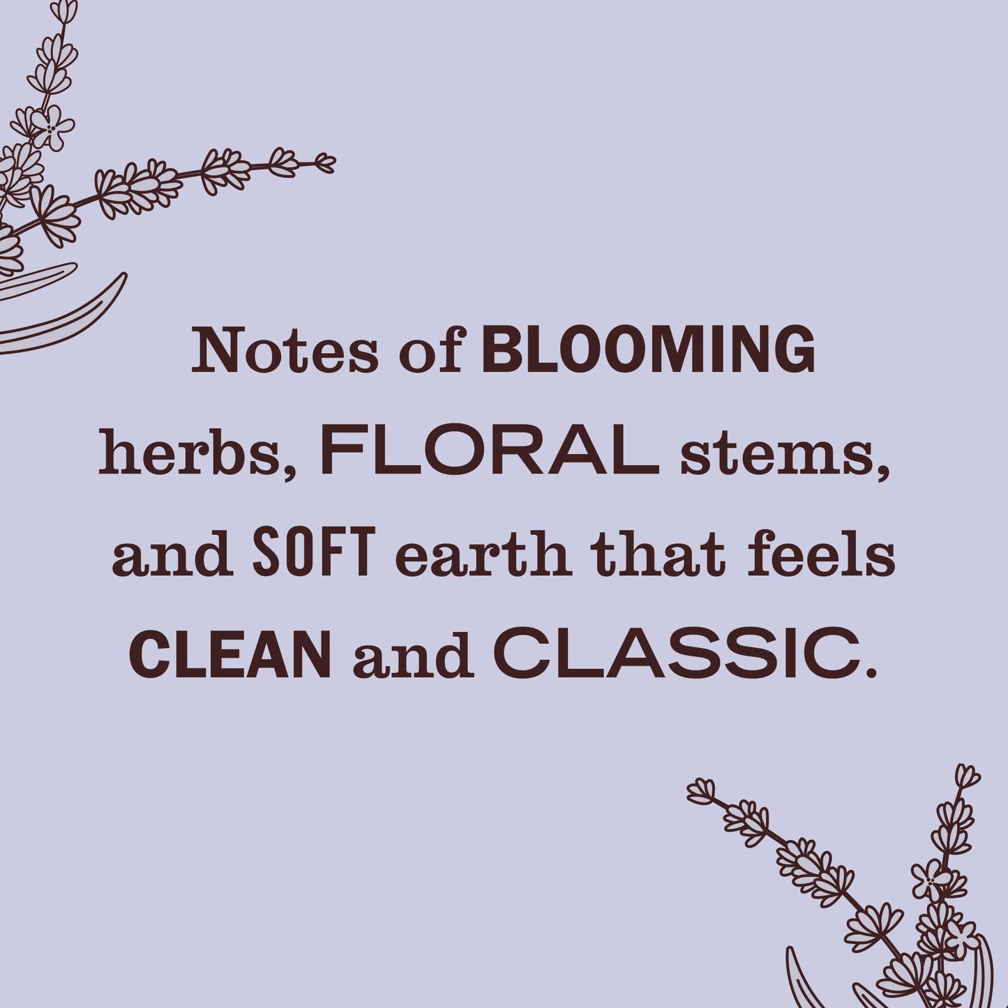 MRS. MEYER'S CLEAN DAY Premium Scented Oil Diffuser Kit, Lavender, 1 warmer and .67 fl oz refill