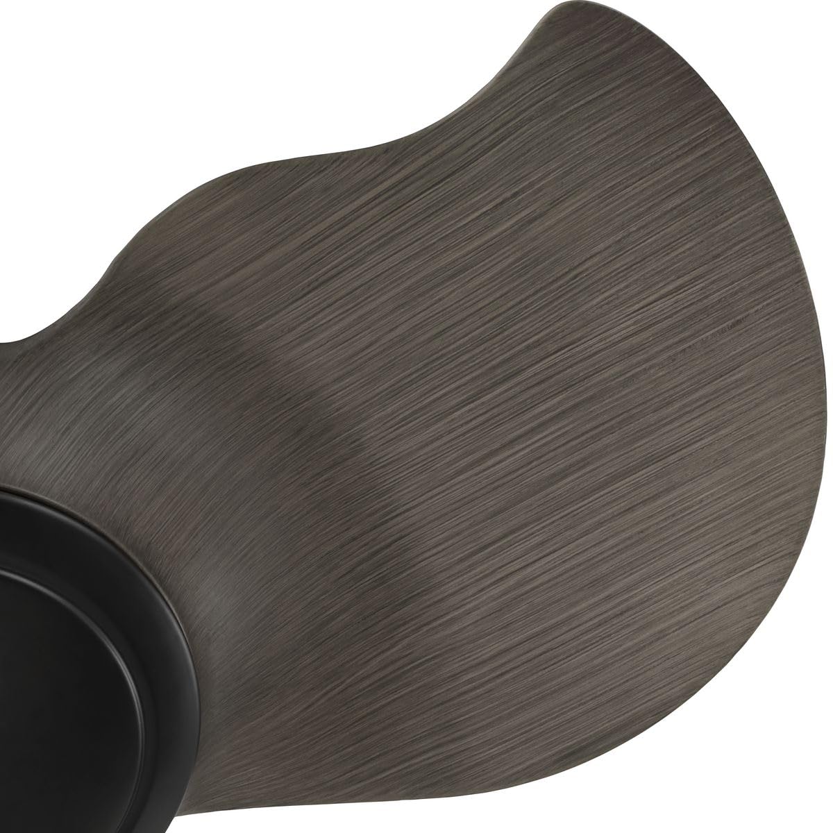Progress Lighting P250096-31M Bastrop 26" Damp Rated Ceiling Fan, Matte Black