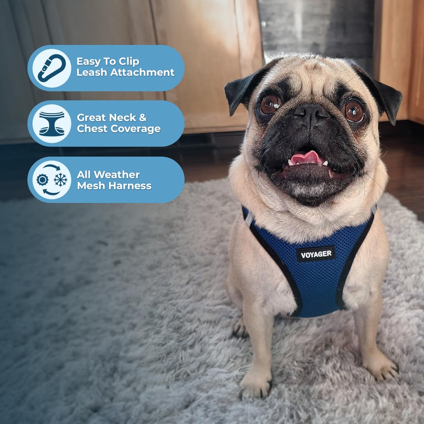 Best Pet Supplies - All Weather Mesh / Plush, Reflective, No Pull Harness for Small, Medium Dogs, Cats - Secure with Hook & Loop Fastener, Buckle, Double D-Rings - Blue/Black Trim, S