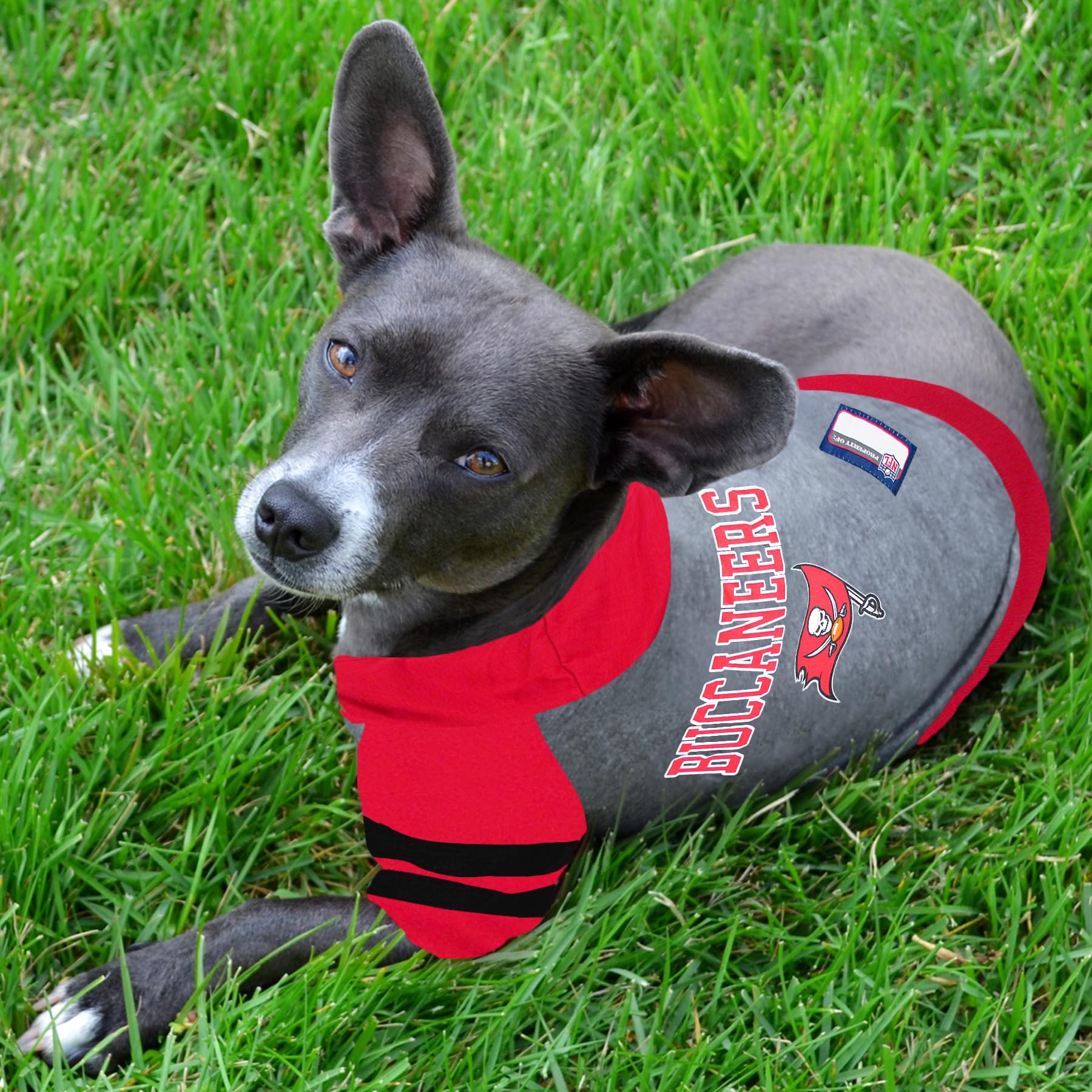 Pets First TBB-4044-MD NFL Tampa Bay Buccaneers Hoodie for Dogs & Cats. | NFL Football Licensed Dog Hoody Tee Shirt, Medium| Sports Hoody T-Shirt for Pets | Licensed Sporty Dog Shirt.