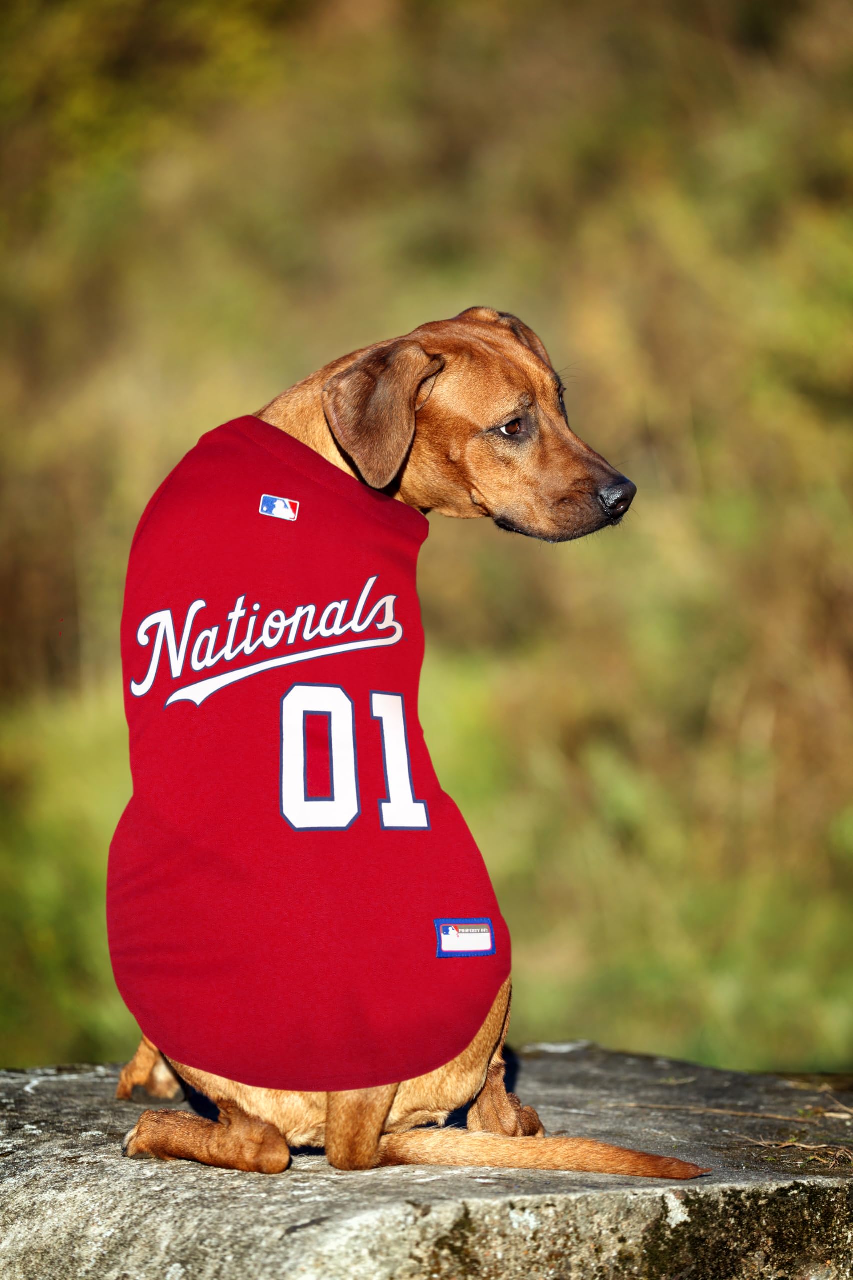 Official MLB Washington Nationals Pet Jersey for Dogs & Cats, Size XX-Large - Stylish Baseball Jersey for Your Furry Fan- Show Off Team Spirit with The Perfect Fan Apparel Gear for Pet, Dog & Cat