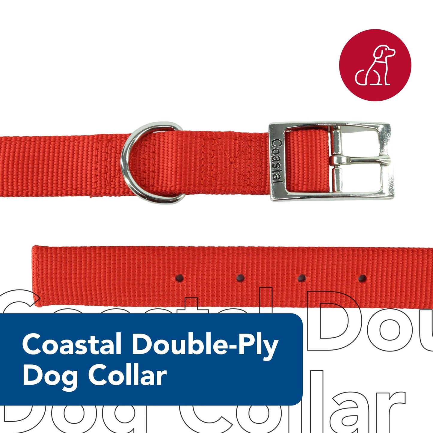 Coastal Pet - Double-Ply Dog Collar, Blue, 1" x 22"