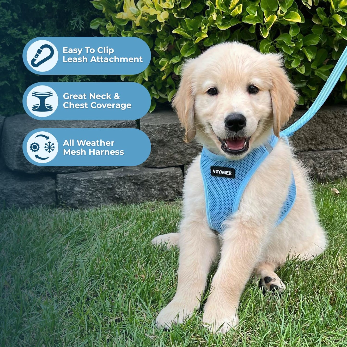 Best Pet Supplies Voyager Step-in Air Harness - All Weather Mesh, Reflective, No Pull Harness for Dogs, Cats - Secure with Hook & Loop Fastener, Buckle, Double D-Rings - Baby Blue, XL