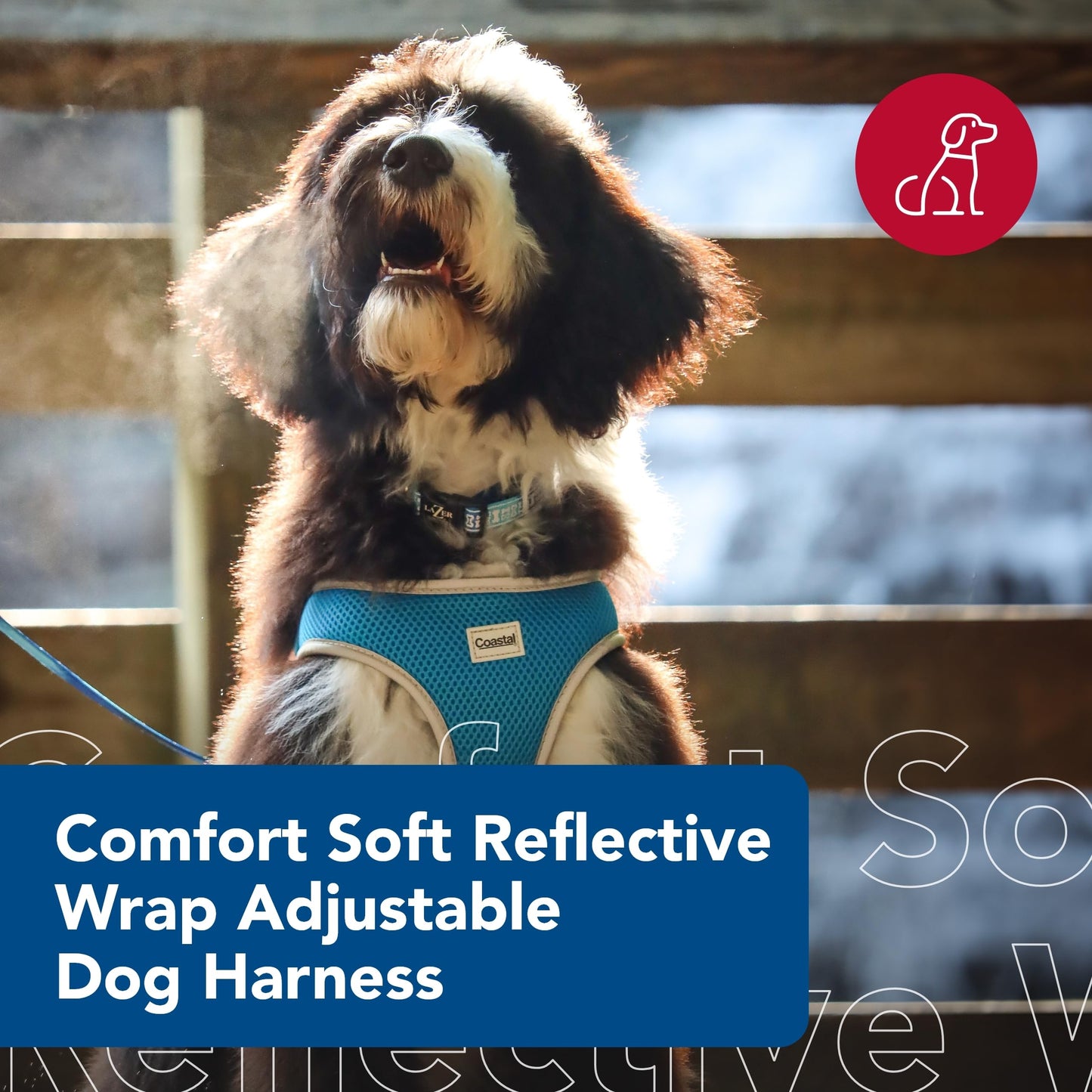 Coastal Pet Comfort Soft Reflective Wrap Adjustable Dog Harness - No-Pull Dog Harness for Small & Large Dogs - Blue Lagoon - 3/4" x 20"–29"