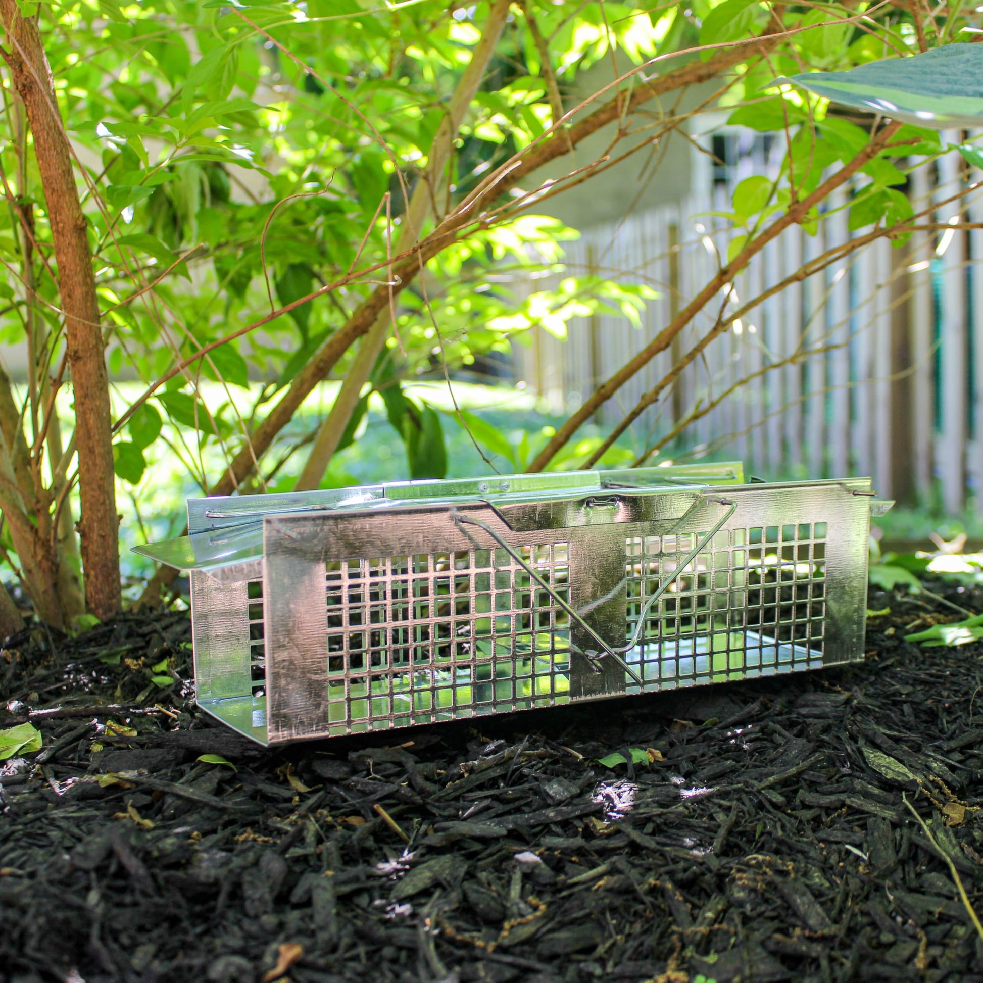 Havahart X-Small Animal Trap, 2-Door Humane Trap for Mice, Voles, Shrews