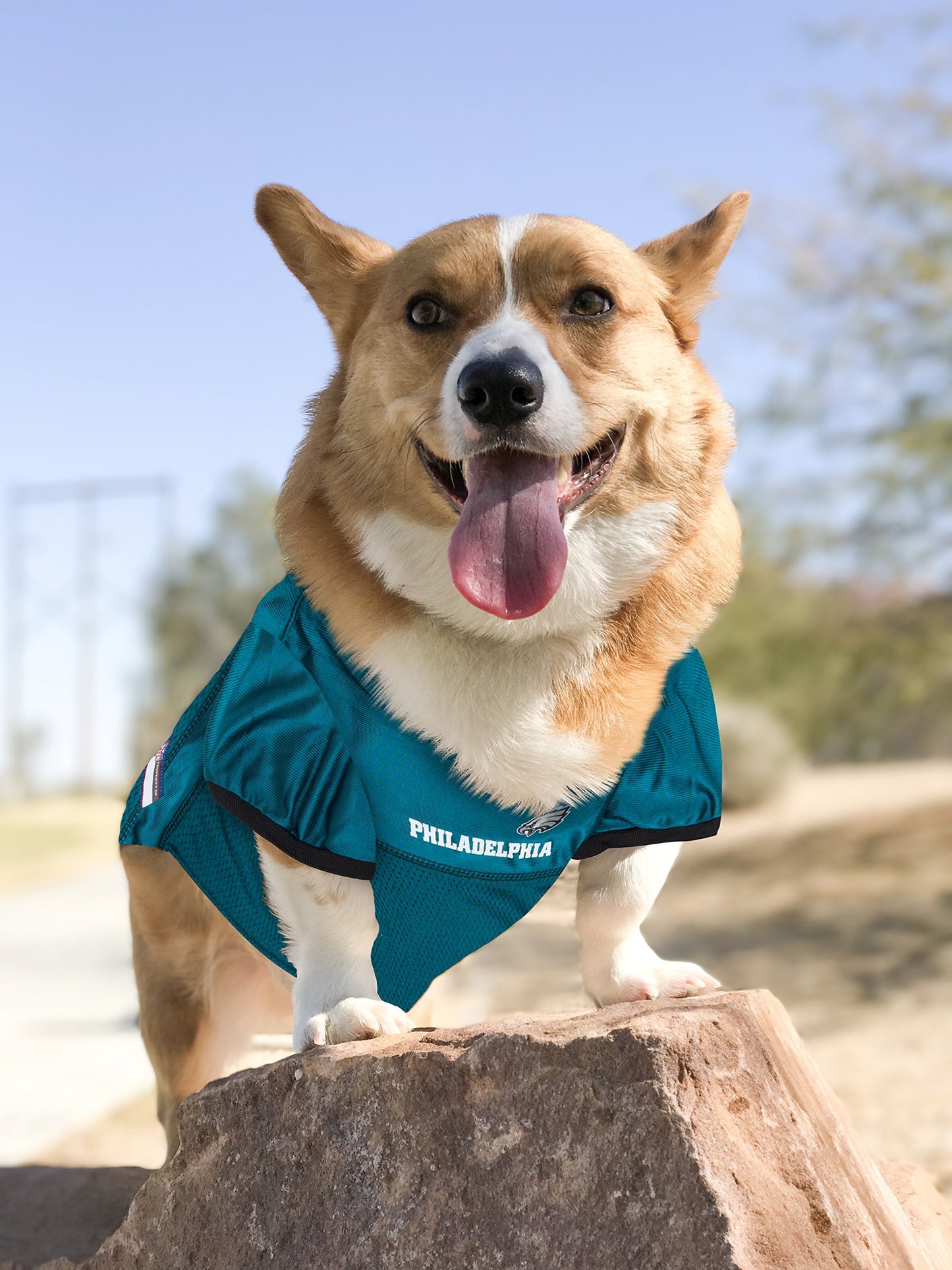 Pets First NFL Philadelphia Eagles Dog Jersey, Medium, Poly-mesh and Satin, Officially Licensed